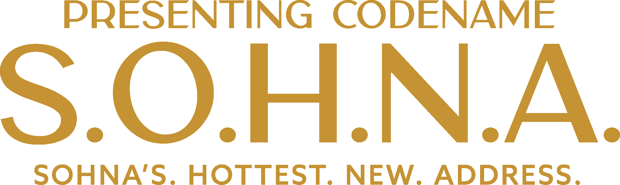 PRESENTING CODENAME S.O.H.N.A
